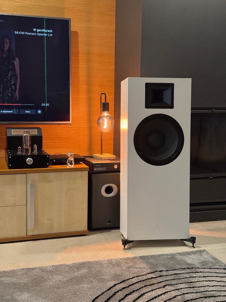Wzmacniacz lampowy Hi-end Audion BlackShadow2 845 monobloki