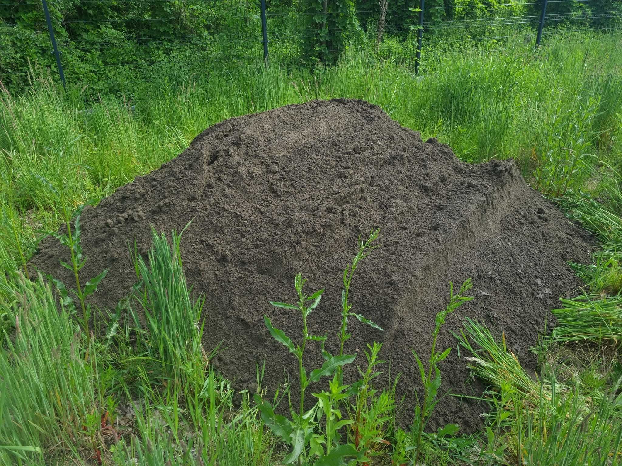 Usługi Minikoparką / Koparko-Ładowarką / Prace ziemne / Piach / Ziemia