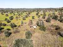 Quinta de 19.000 m2 em Mouriscas, Santarém