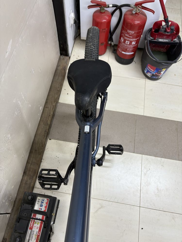 Rower ns bikes zircus
