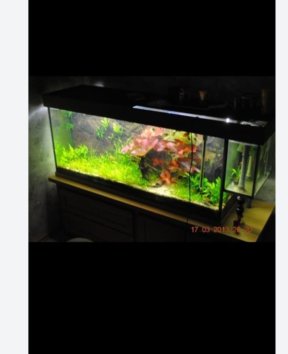 Akwarium 450l+ sump
