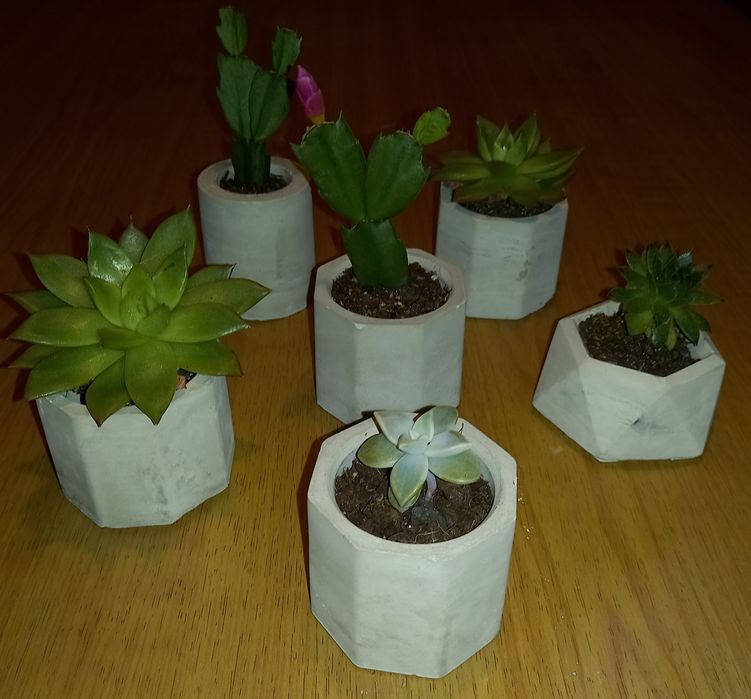 Vasos artesanais em cimento para cactos, suculentas ou ornamentais.
