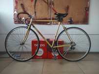 Bicicleta Confersil de Estrada