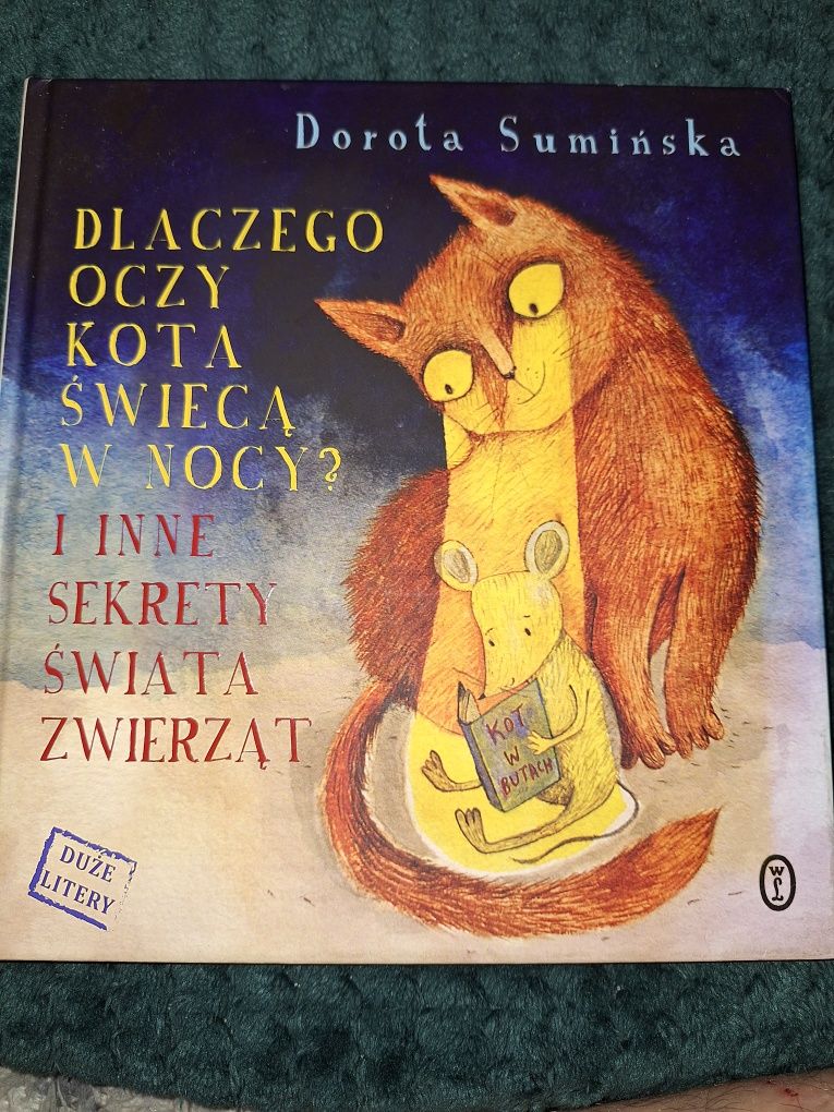 Dlaczego oczy kota świecą w nocy [BSZSP]