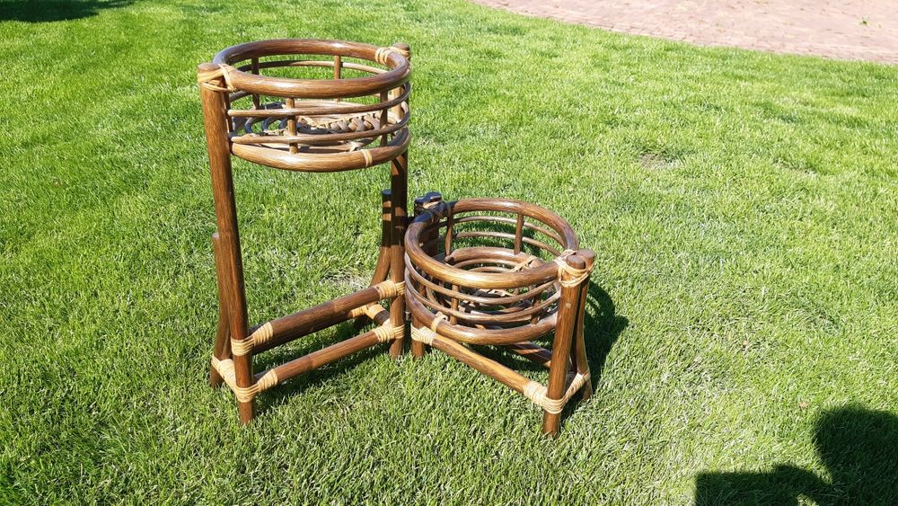 Kwietnik rattanowy - zielony