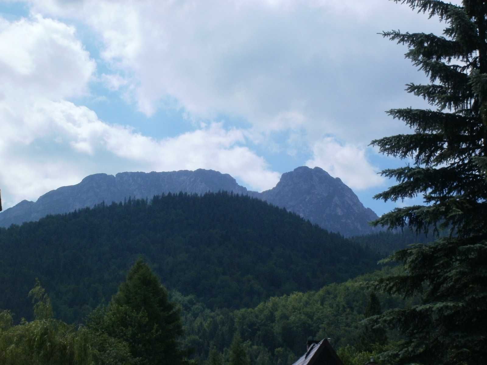 Zakopane Noclegi, kwatery, pokoje,  centrum 2.1 km ,wakacje w górach