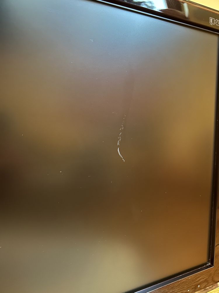 Monitor Samsung  P2450H 24 cale