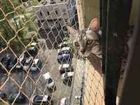 Siatka dla kota, siatka balkonowa, siatka przeciw ptakom na balkon