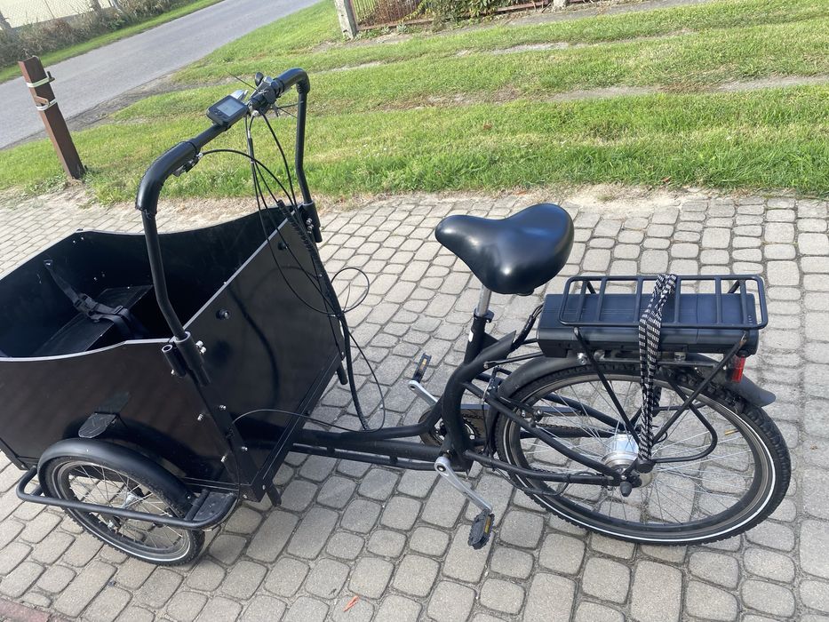 Rower elektryczny-riksza Przyczepka rowerowa