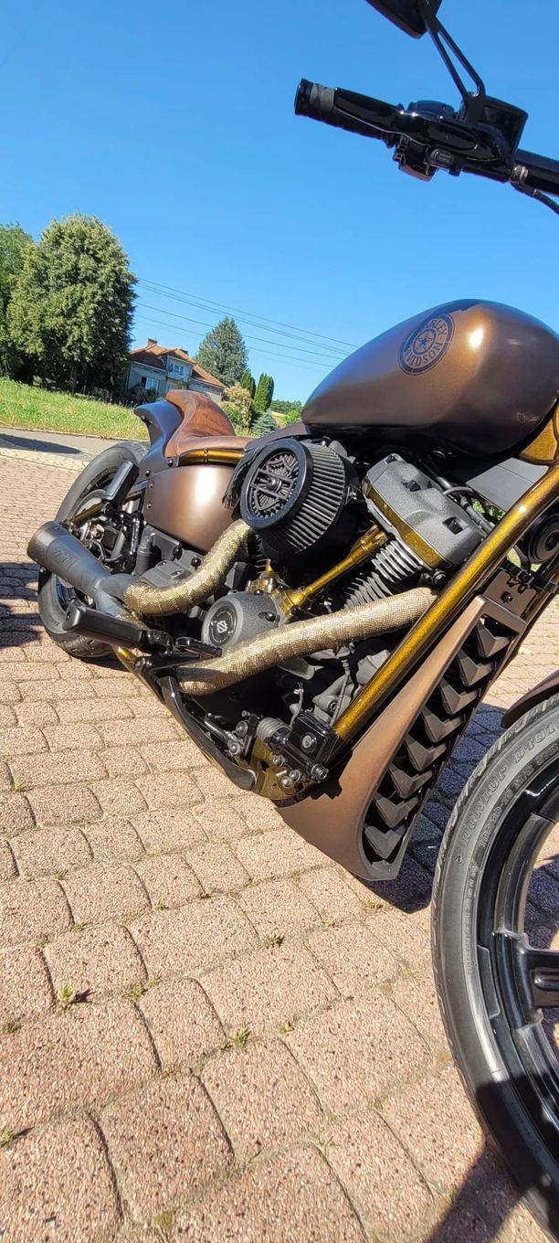Harley-Davidson Softail Street Bob Harley Davidson street bob 107 Custom