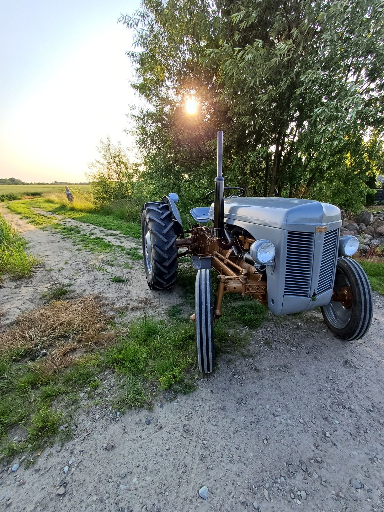 Massey ferguson TEA 20