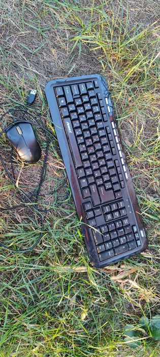 Клавиатура и мышка