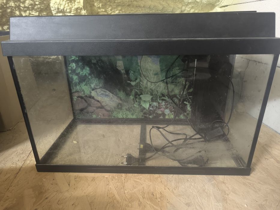 Akwarium Juwel używane