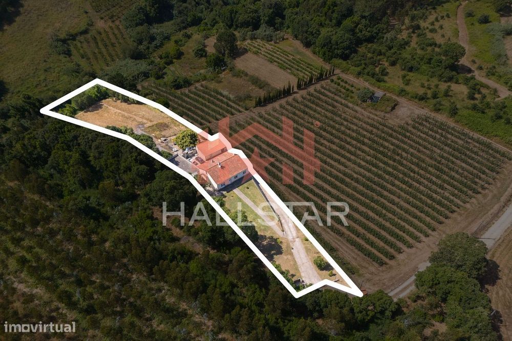 Quinta / Área Total 5.013m2 / Cela