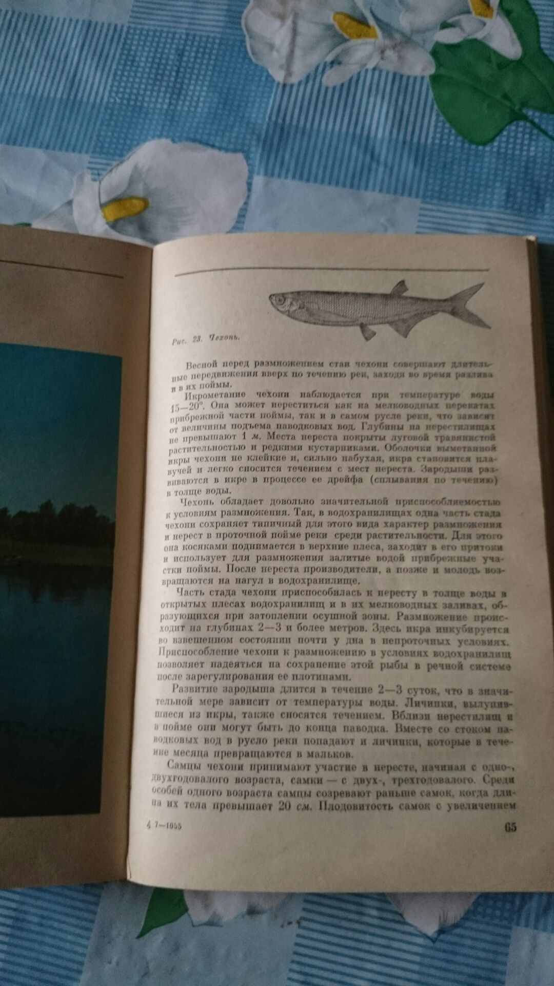 Книга любительское рыболовство.