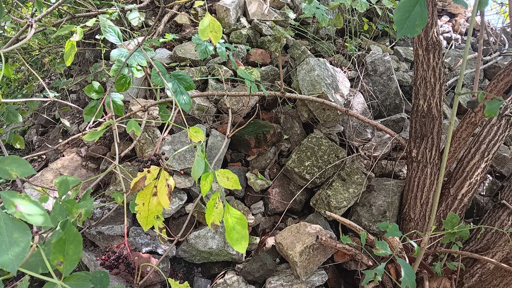 Kamień żółty, gruz.