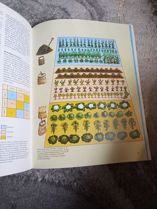Gardening step by step David Carr j. angielski