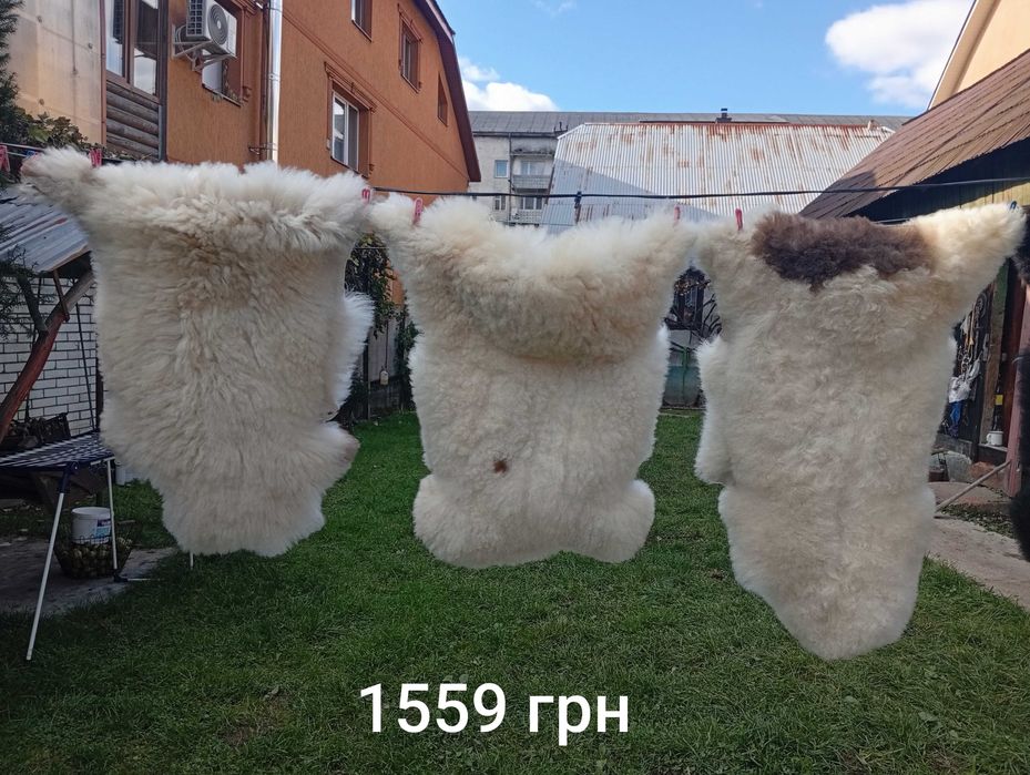 Шкурка овеча вичінена