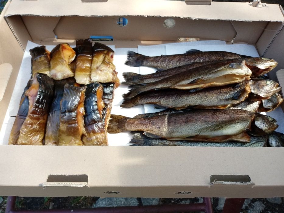 Karp wędzony naturalnie, dzwonki, filet