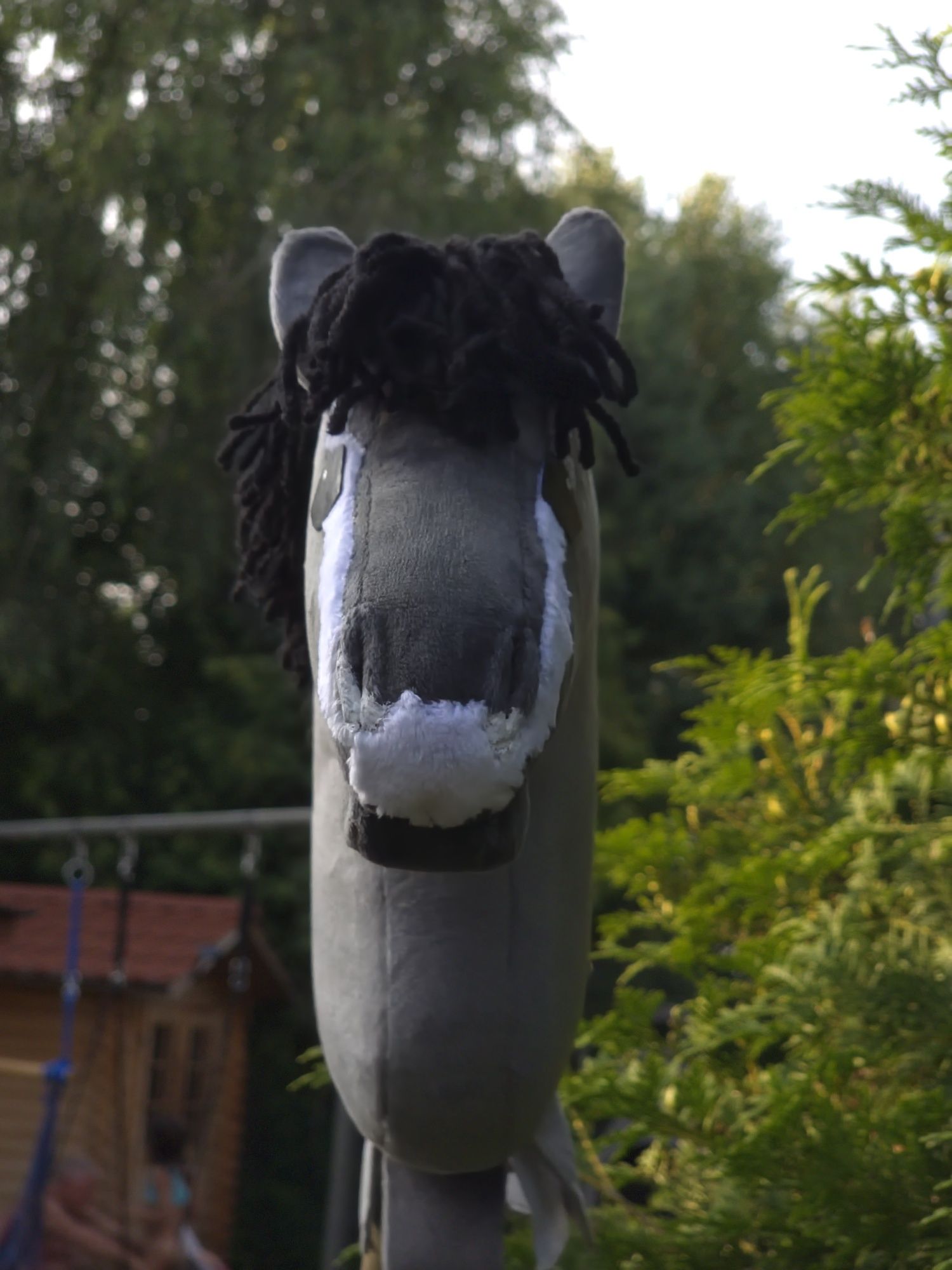 Hobby horse małe a4 autorka Kht_Callio