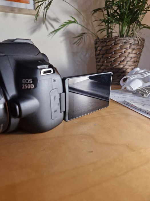 Canon EOS 250D + Canon EF-S 18-55mm f/4-5.6 IS STM