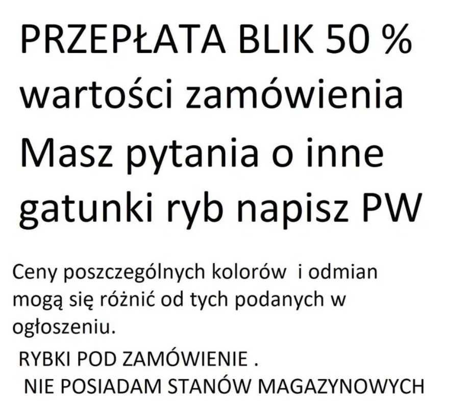 Pielęgnica pawiooka - oskar