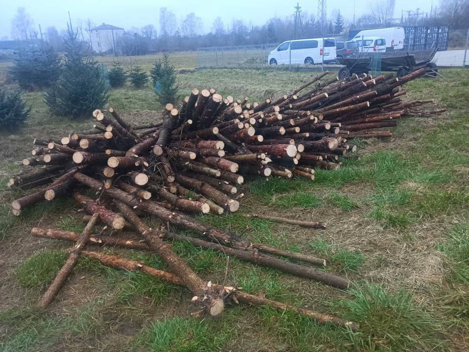 Drewno opałowe sosnowe