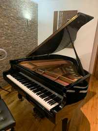 Piano de cauda - Samick 5' 1" SG 155 5'1 Baby Grand Piano