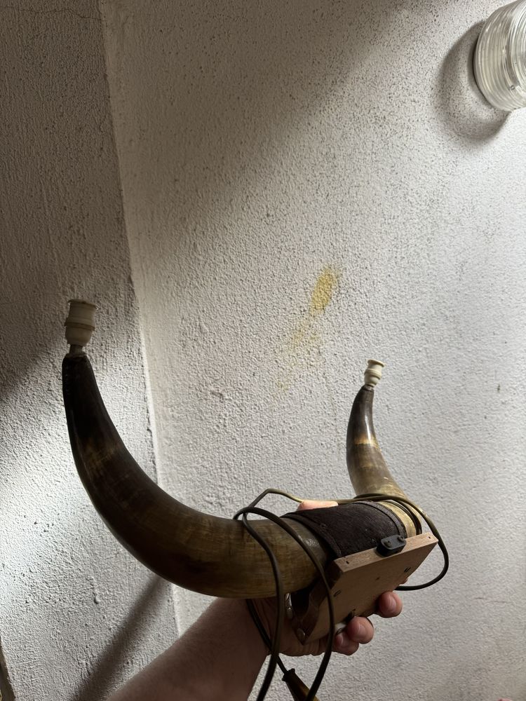 Cornos de Boi adaptados a candeeiro