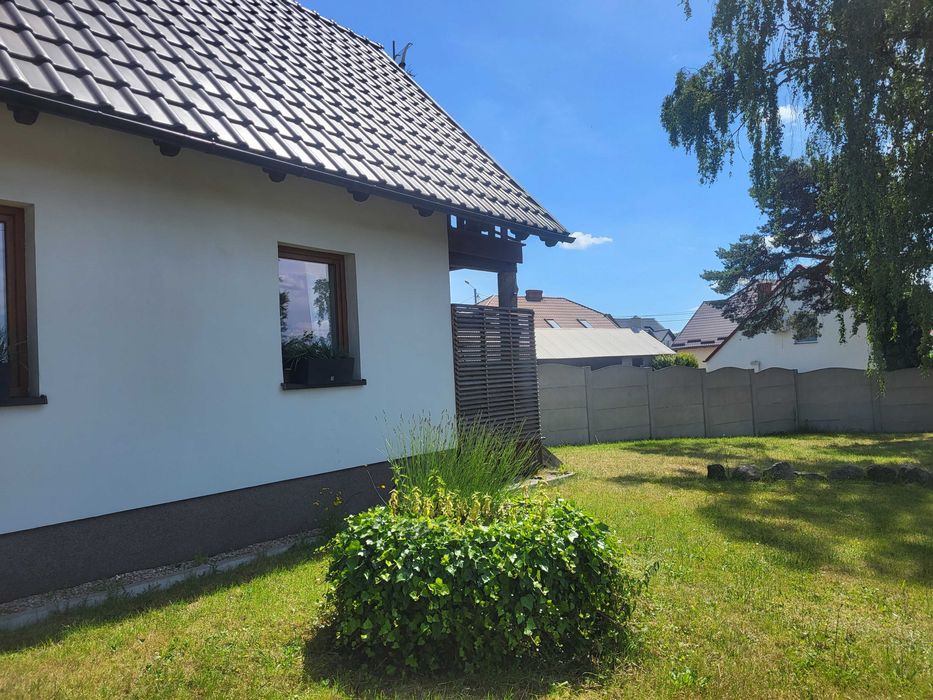 Domki do wynajecia całoroczne