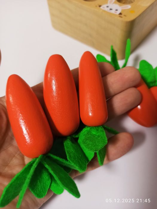 Дерев'яні сортер для малюків лот