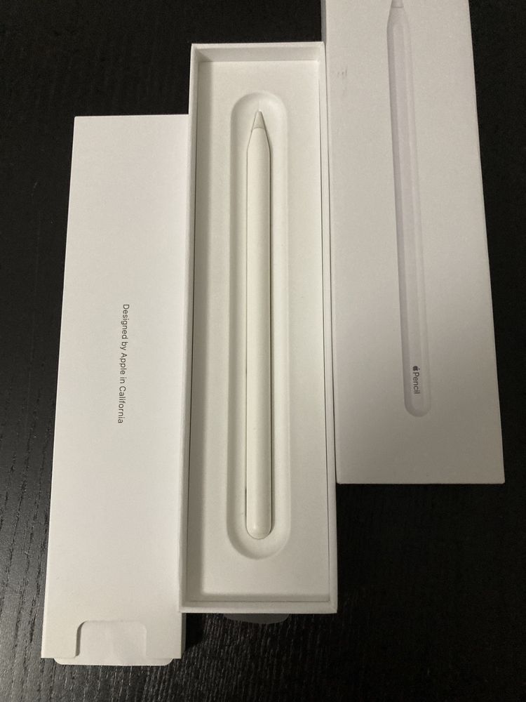 Apple pencil  2a geração-  nova