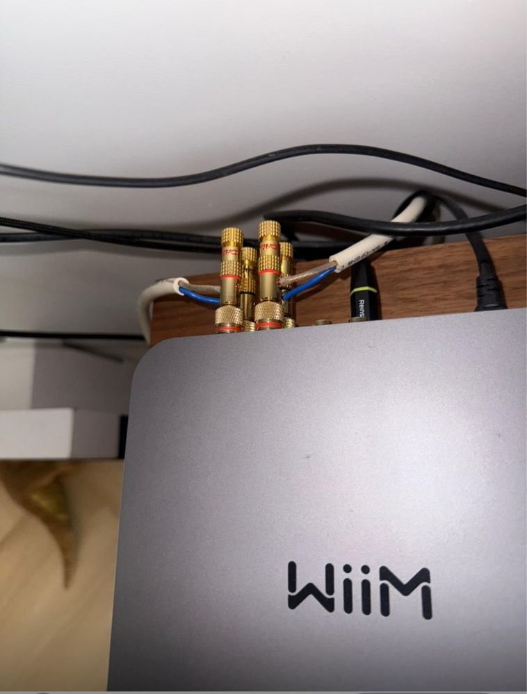 Pylon Jade 20 + Wiim Amp + dobry kabel z oryginalnymi podstawkami