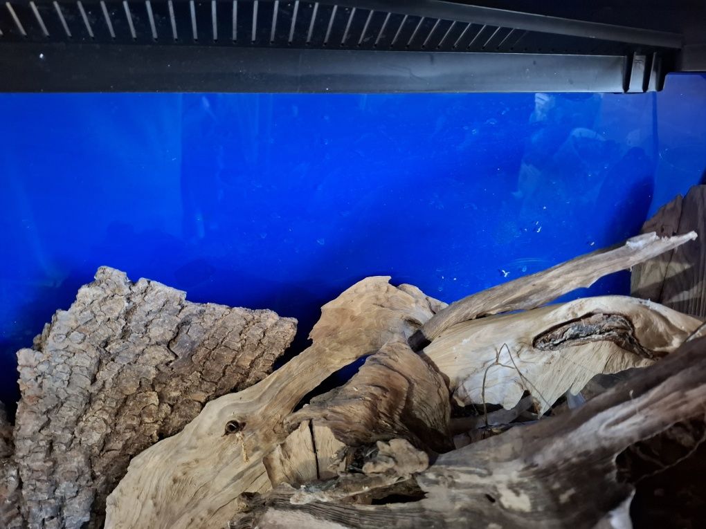 akwarium z pokrywą i oświetleniem Leddy set 80 o wymiarach 75x35x40