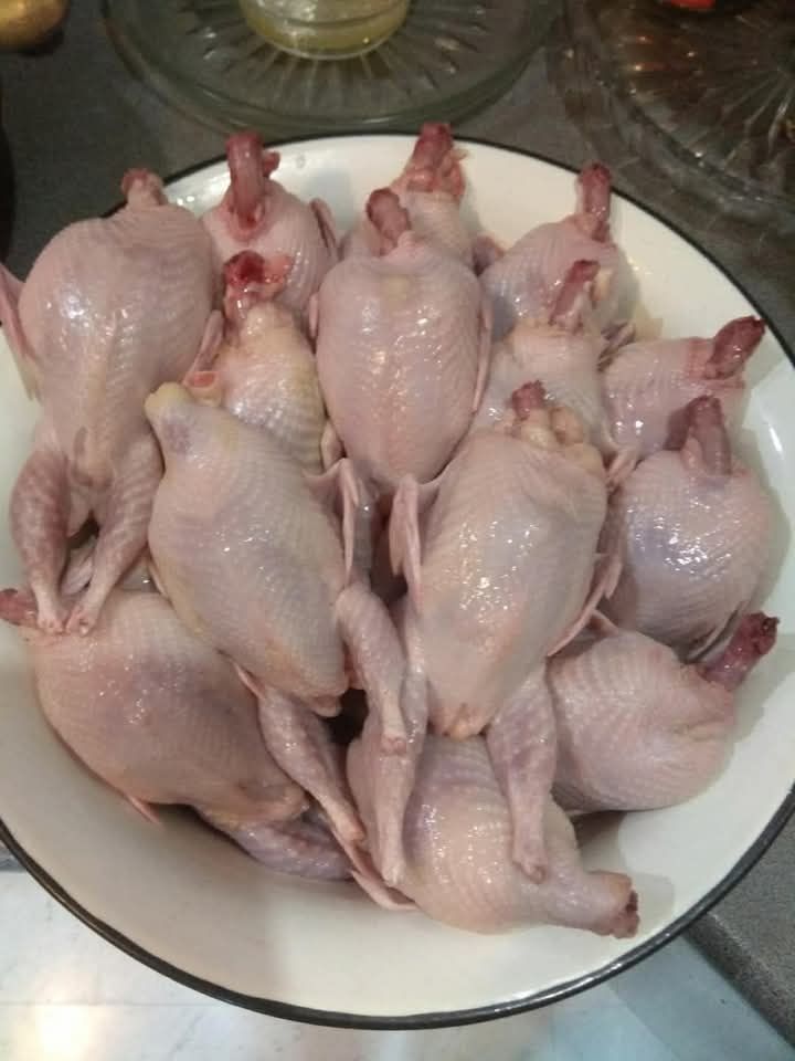 Продам м'ясо перепілки, яйце