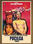 Cinema Autor de Culto DVD Pasolini