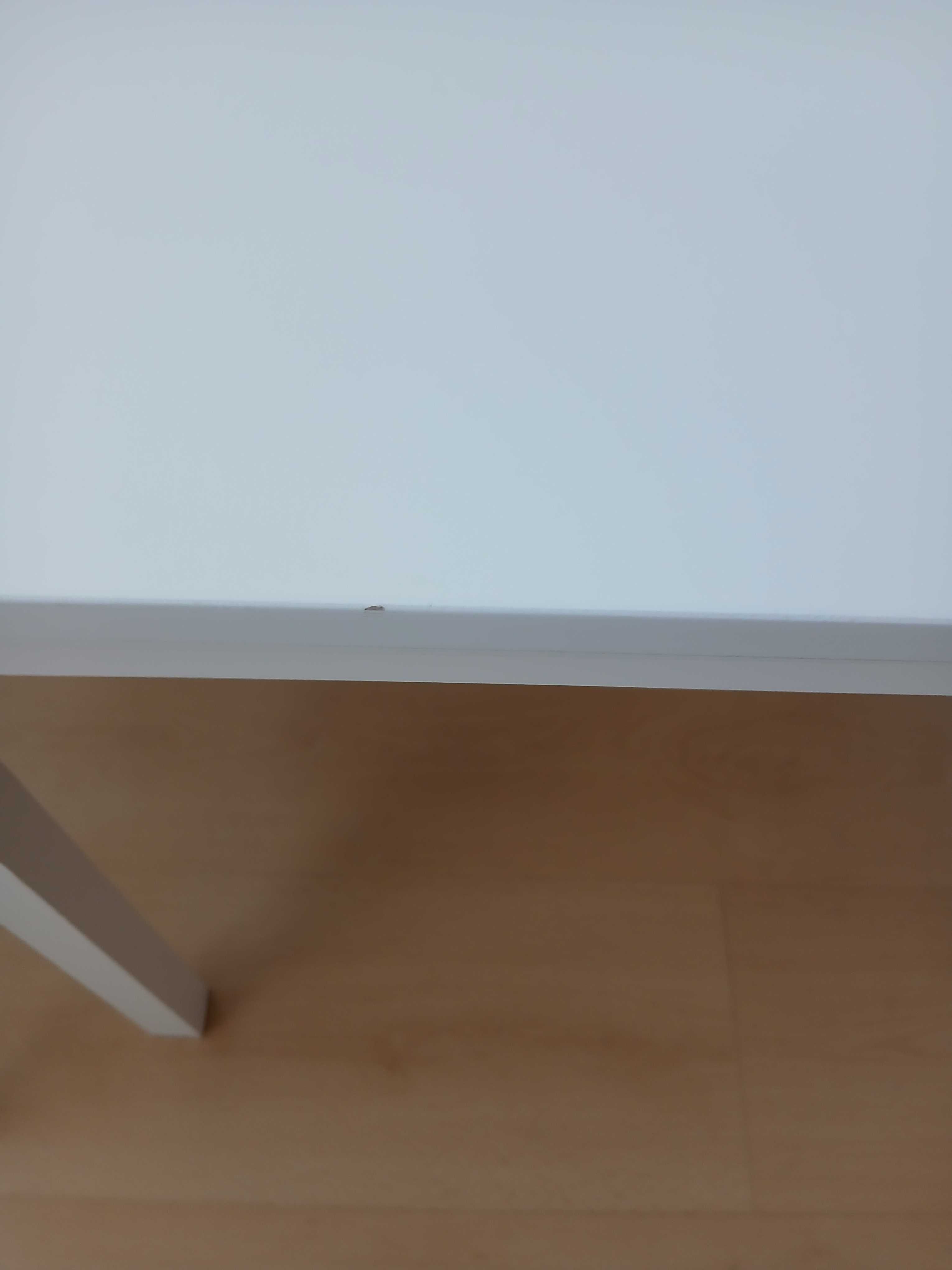 Mesa para criança Kritter