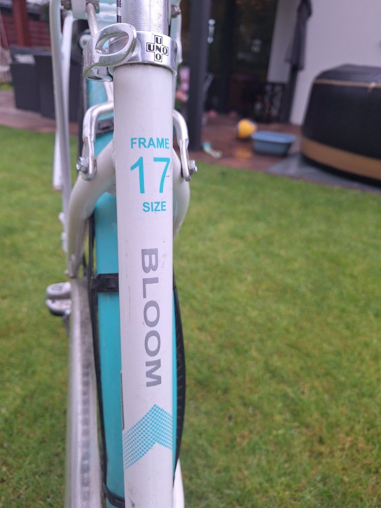 Rower Onilus Bloom 17