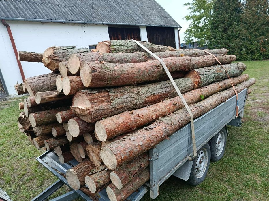 Drewno opałowe sosna, akacja