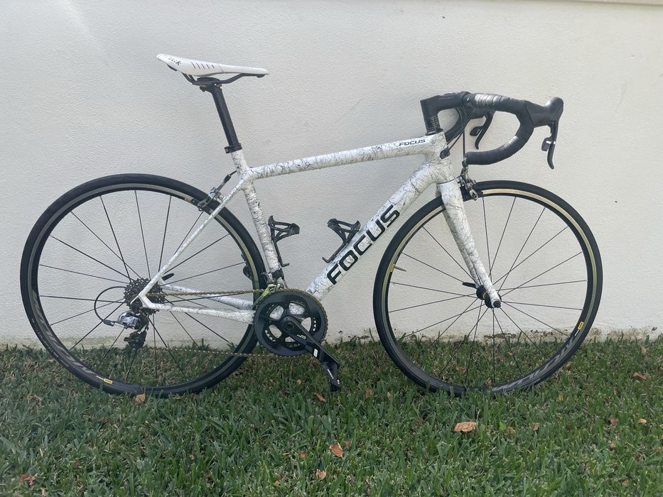 Focus cayo (tamanho S)