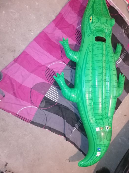 Krokodyl do pływania dmuchany duży, 2 metry, jak nowy