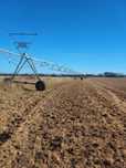 Pivot de rega de 5 torres 298 mt