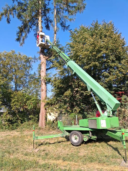 Wycinka Drzew. Prace Ogrodnicze. Transport Drewna. Podnośnik Koszowy.