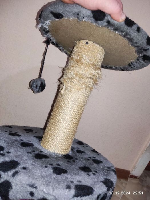 Кототочилка для кігтів котів