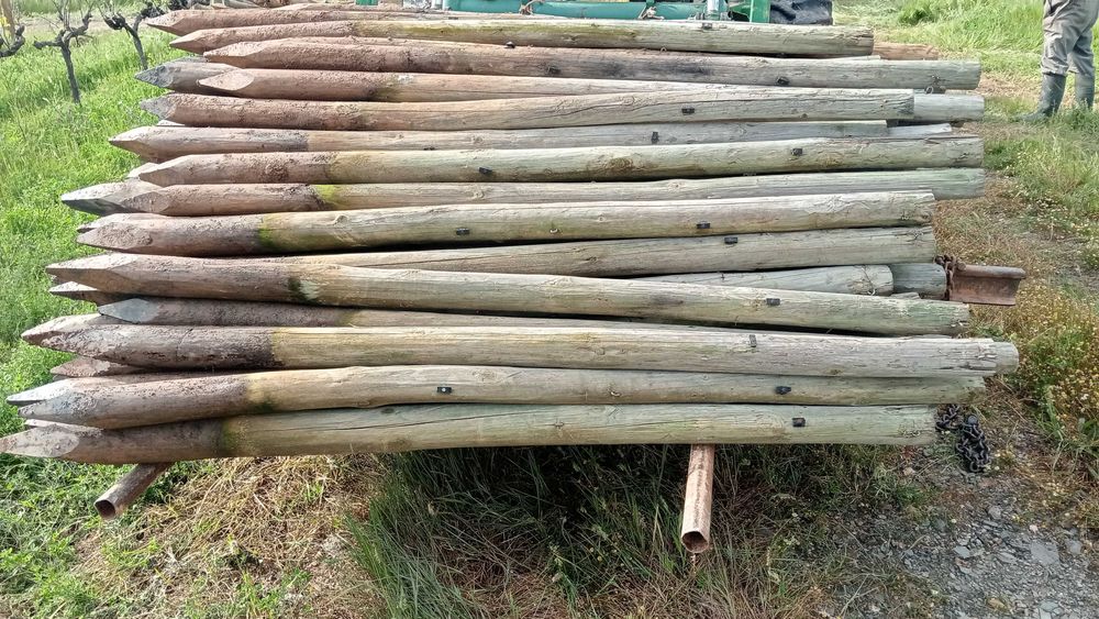 Paus tratados de várias medidas. Calibre 6/8 e 8/10