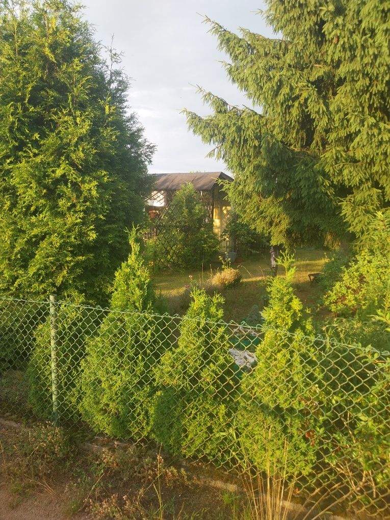 Sprzedam działkę Rod przy ul.Inwalidow