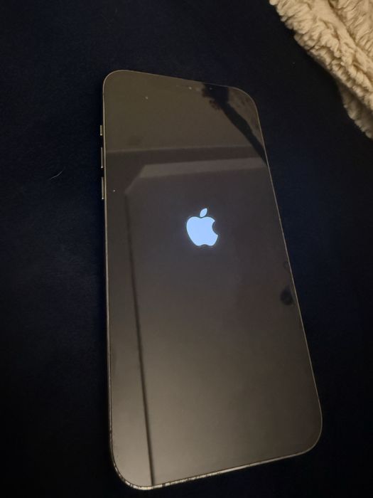 Iphone 12 Pro Max 256GB