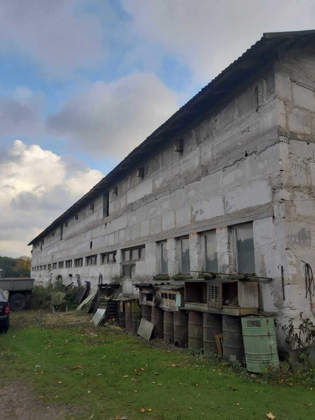 Wynajmę Oborę 700m2 Cena wynajmu do ustalenia