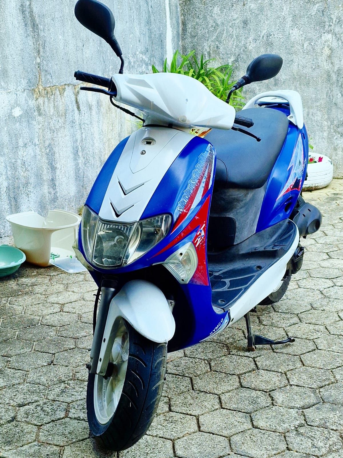Mota Vitality ano 2010