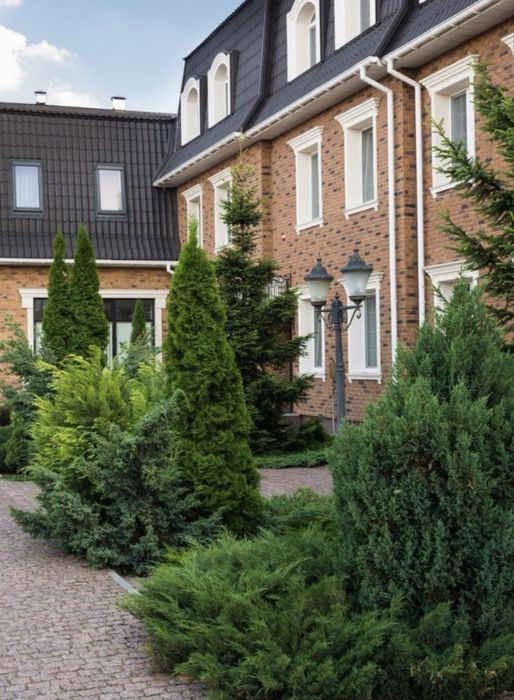 ‼️Оренда Будинку | Студія | Козин‼️Басейн